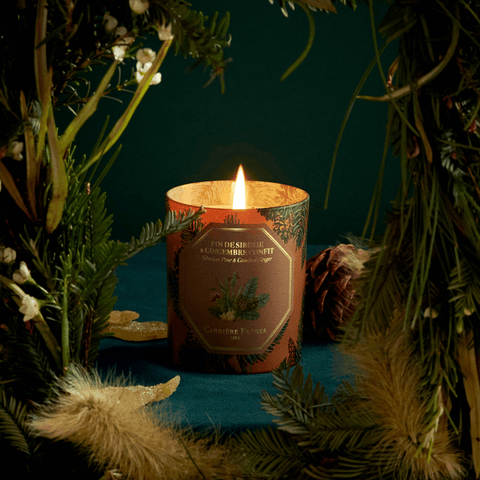 Siberian Pine & Candied Ginger Candle